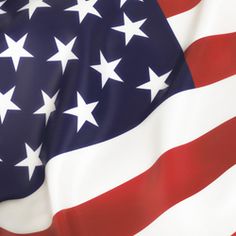 Patriotic Symbol Luncheon Napkins