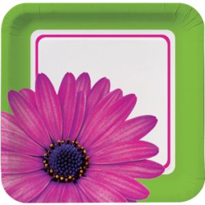 Daisy Power 7 inch Square Plates-No Labels