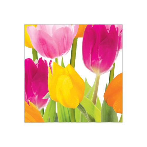 Tulip Time Luncheon Napkins-B124